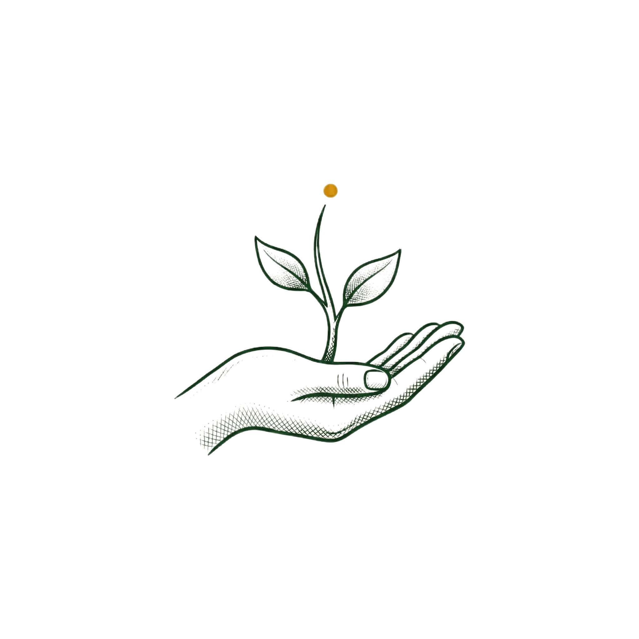 Icon 3