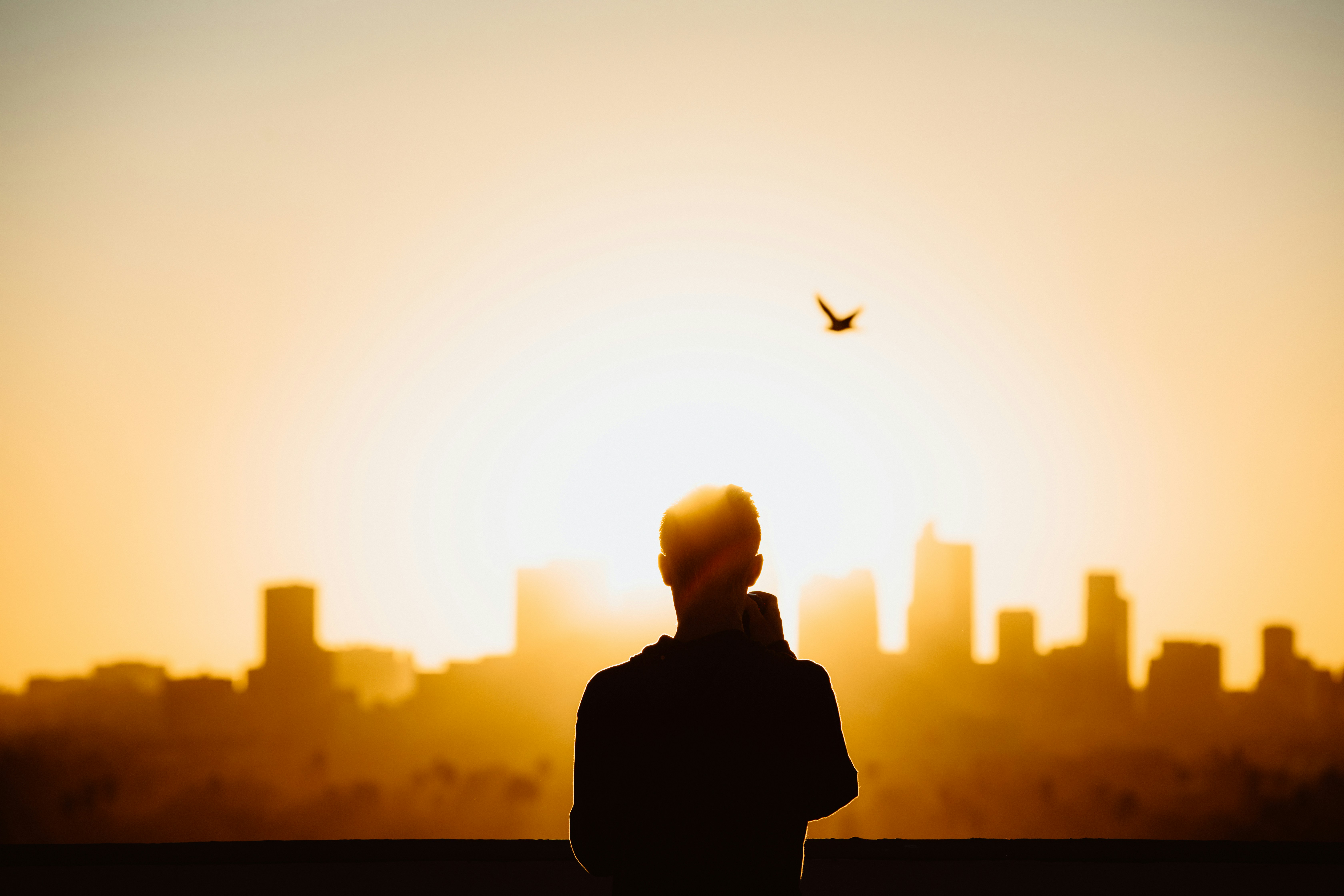 Nathan Dumlao EwaV3HjwmUo Unsplash